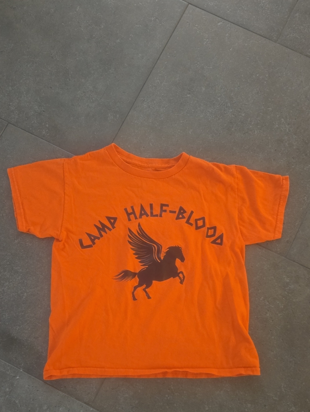 Camp Half Blood Tee with Pegasus Graphic